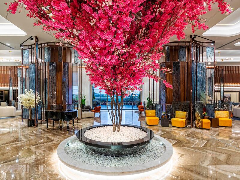 Calyptus Kirman Premium