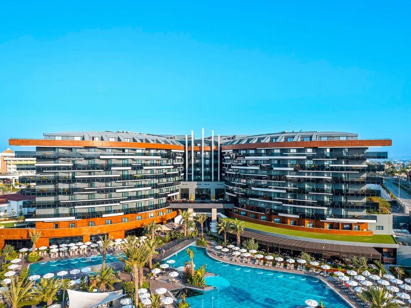 Calyptus Kirman Premium