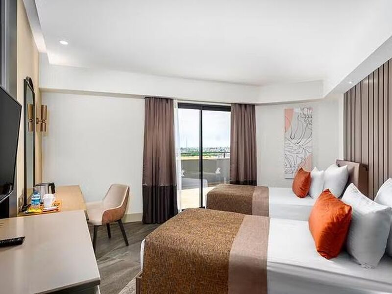 Calyptus Kirman Premium