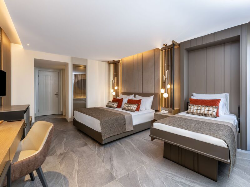 Calyptus Kirman Premium