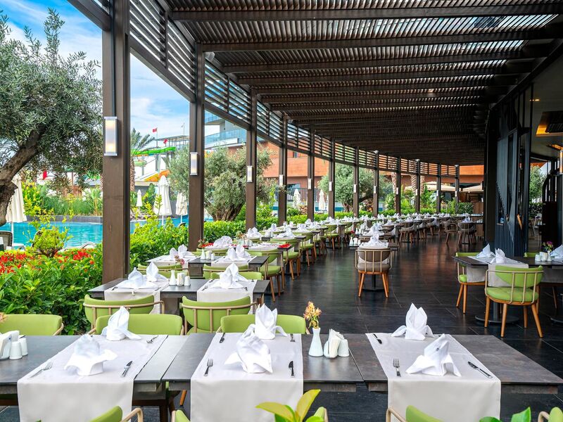 Calyptus Kirman Premium