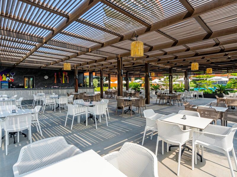 Calyptus Kirman Premium