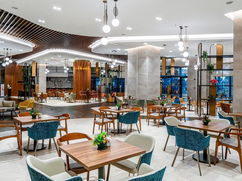 Calyptus Kirman Premium