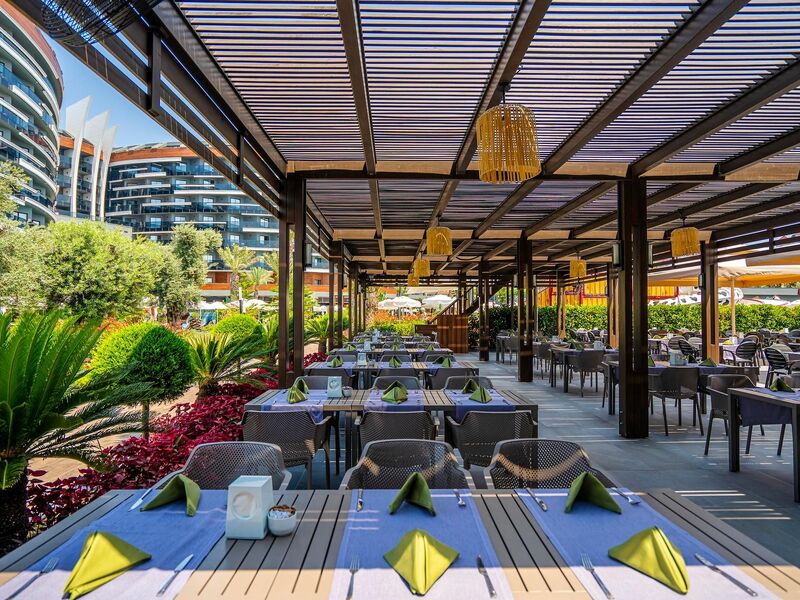 Calyptus Kirman Premium