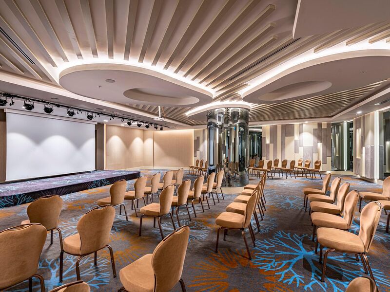 Calyptus Kirman Premium