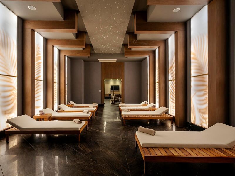 Calyptus Kirman Premium