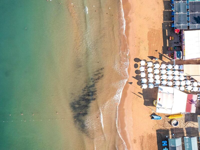 Calyptus Kirman Premium