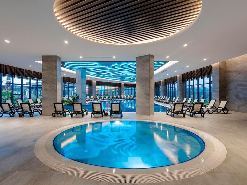 Calyptus Kirman Premium