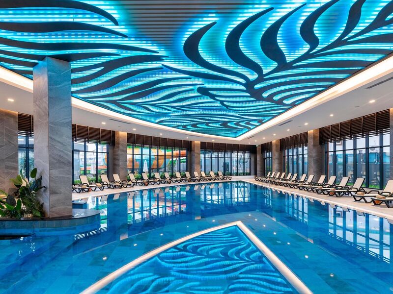 Calyptus Kirman Premium